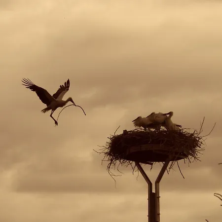 Kuckunniwi Tipidorf * Tauche