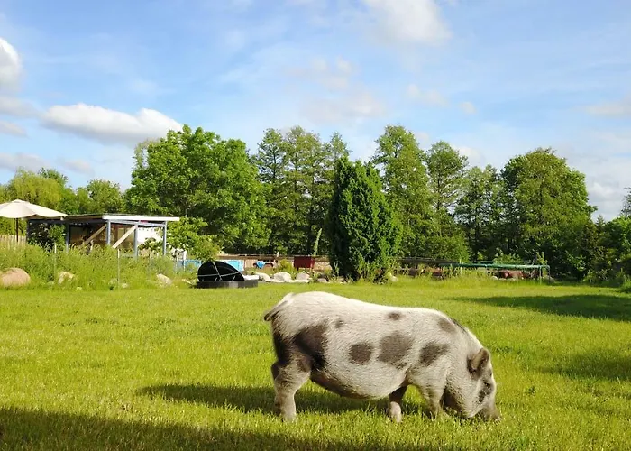 ラグジュアリーテント Kuckunniwi Tipidorf *